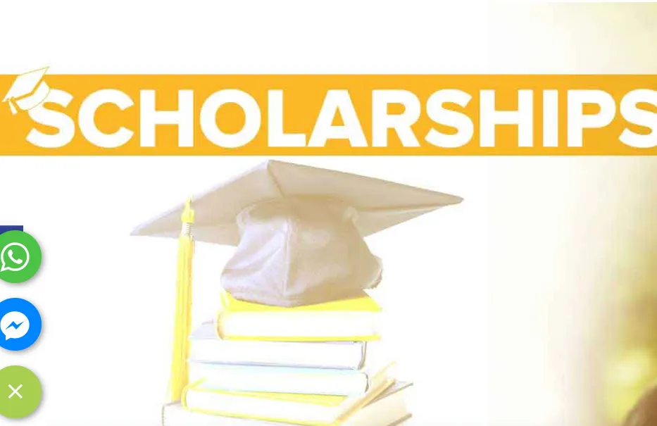 Falcon Education screenshot 3